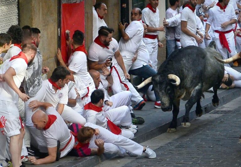 People getting out of the way of a bull