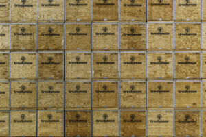 Beautiful aerial view of large almond orchard on a California farm in summer. Drone image of rows of green almond trees.