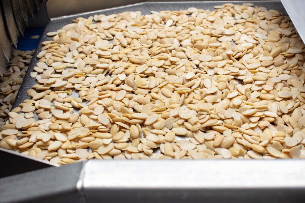 Blanched Almond Halves in production line