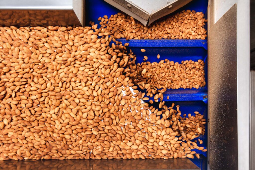 Organic Natural Whole Almonds in Production Line