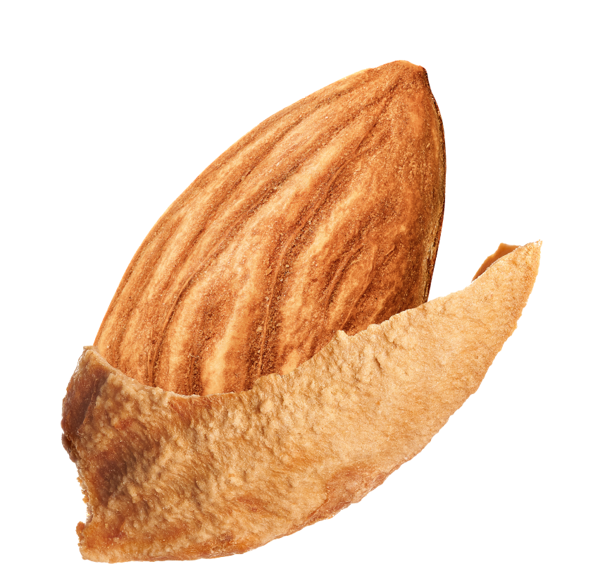 Inshell Almonds