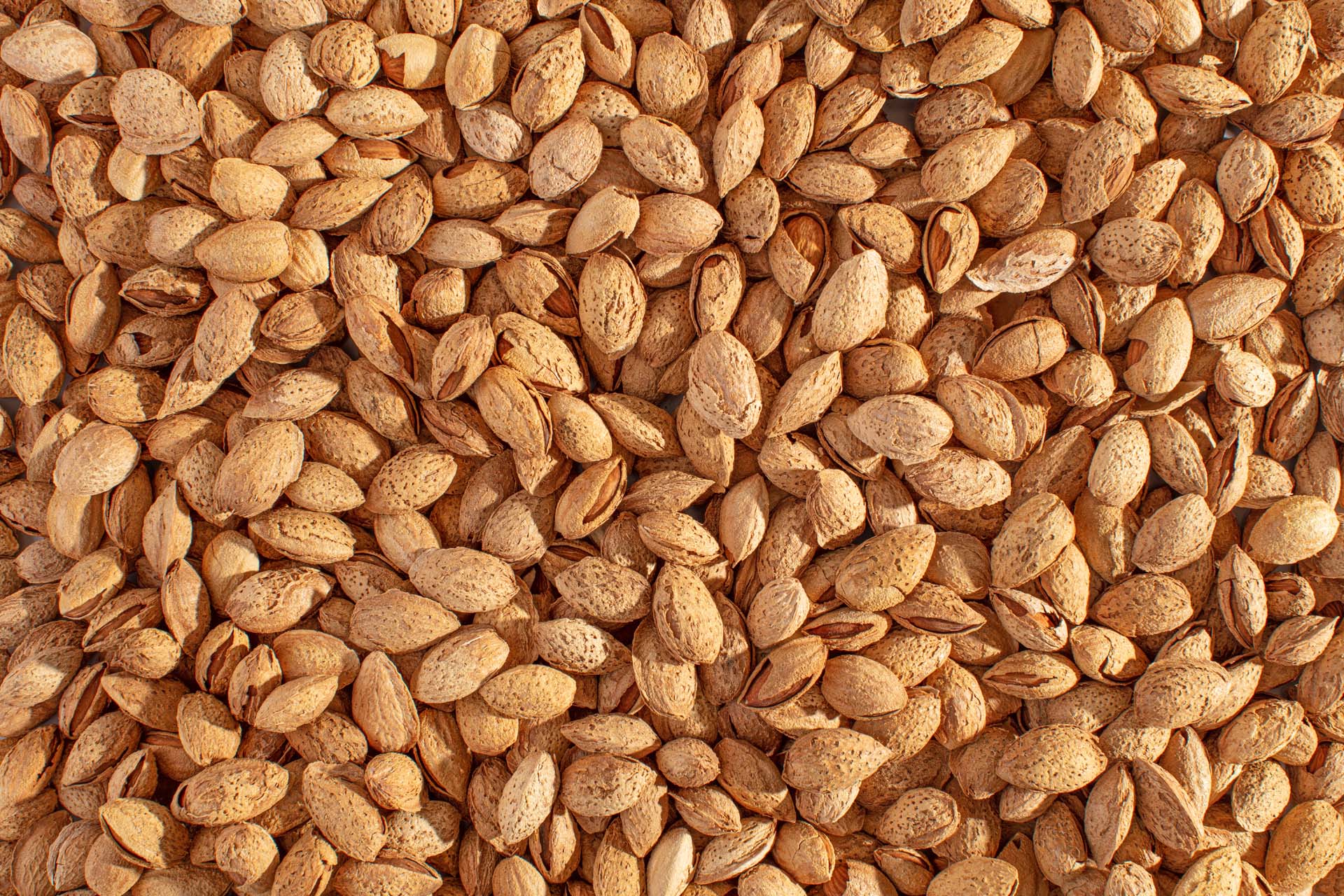 Overhead shot of Nonpareil Almonds In Shell