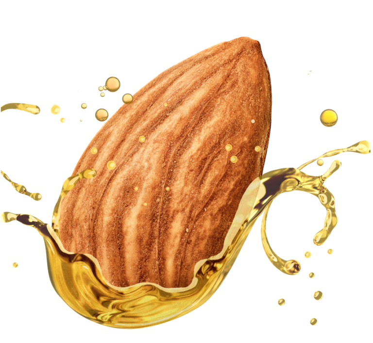 Whole Almond Dipped in Almond Oil