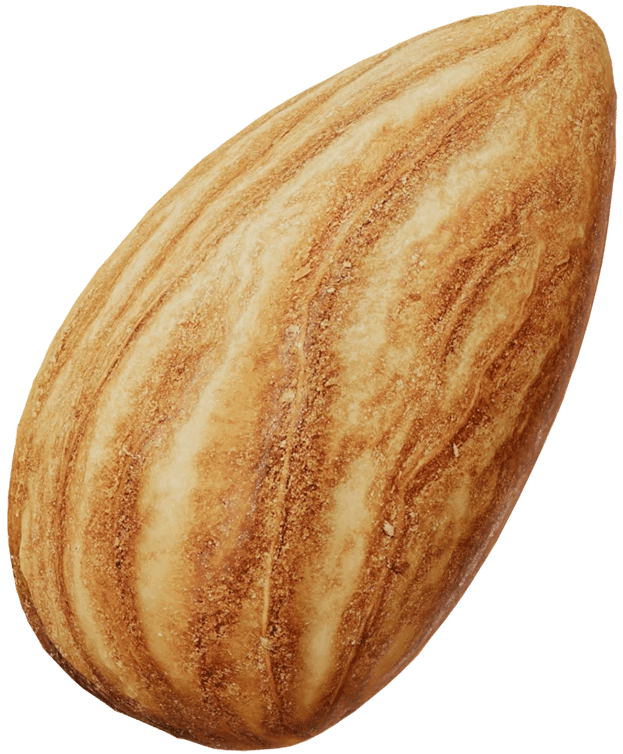 Treehouse Almonds Large Whole Almond