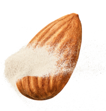 Almond protein powder covering a whole almond