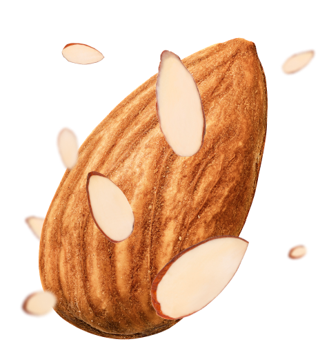 Sliced Almonds