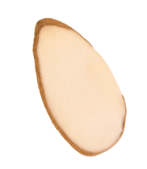 Sliced Almonds