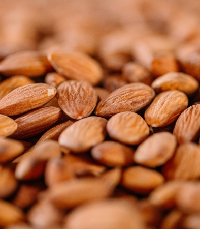 Precision process protect  almond integrity