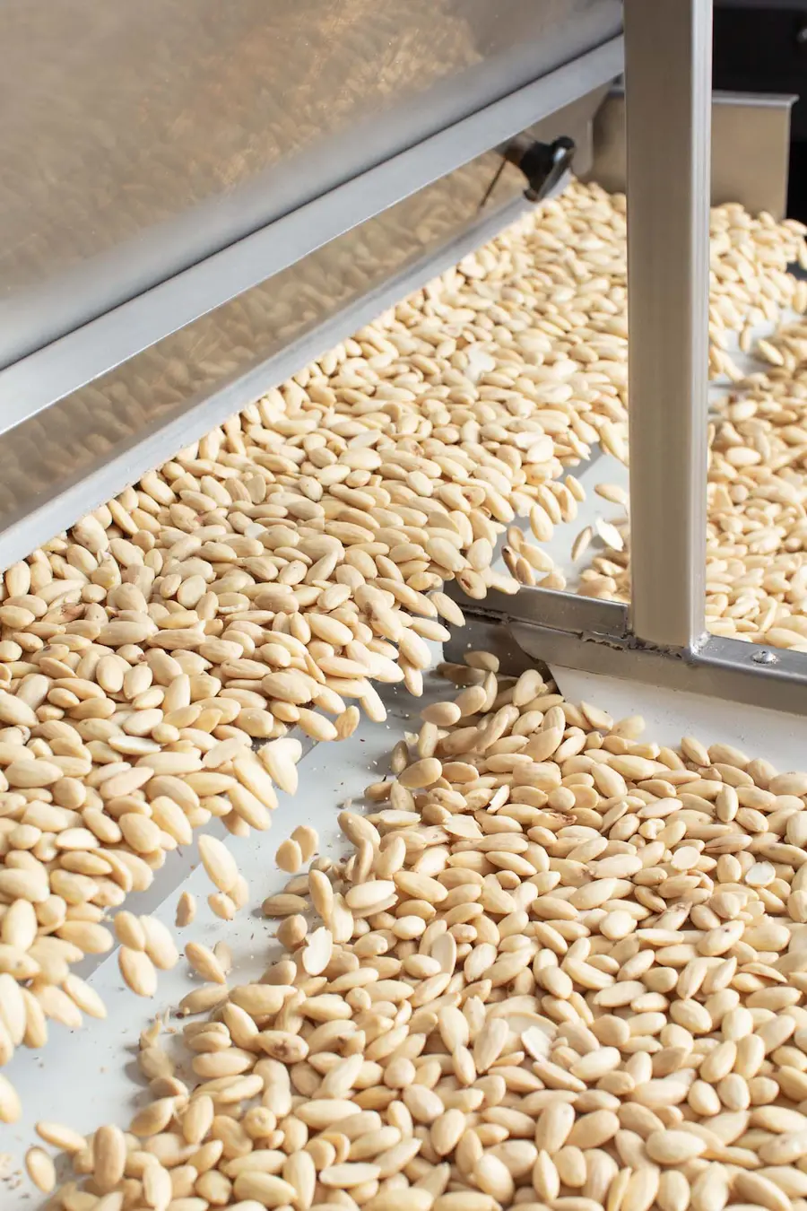 Whole Blanched Almonds