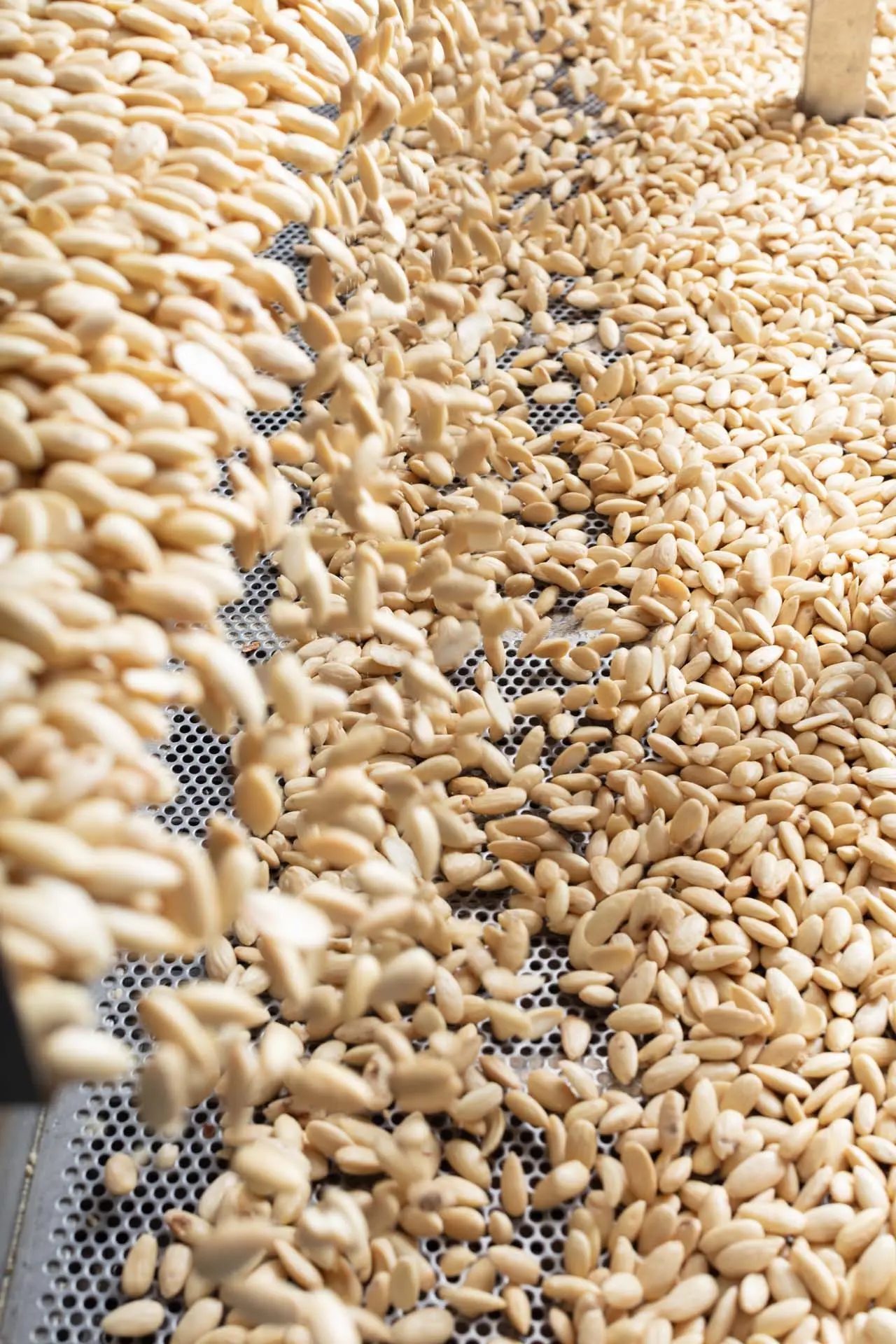 Blanched Almonds