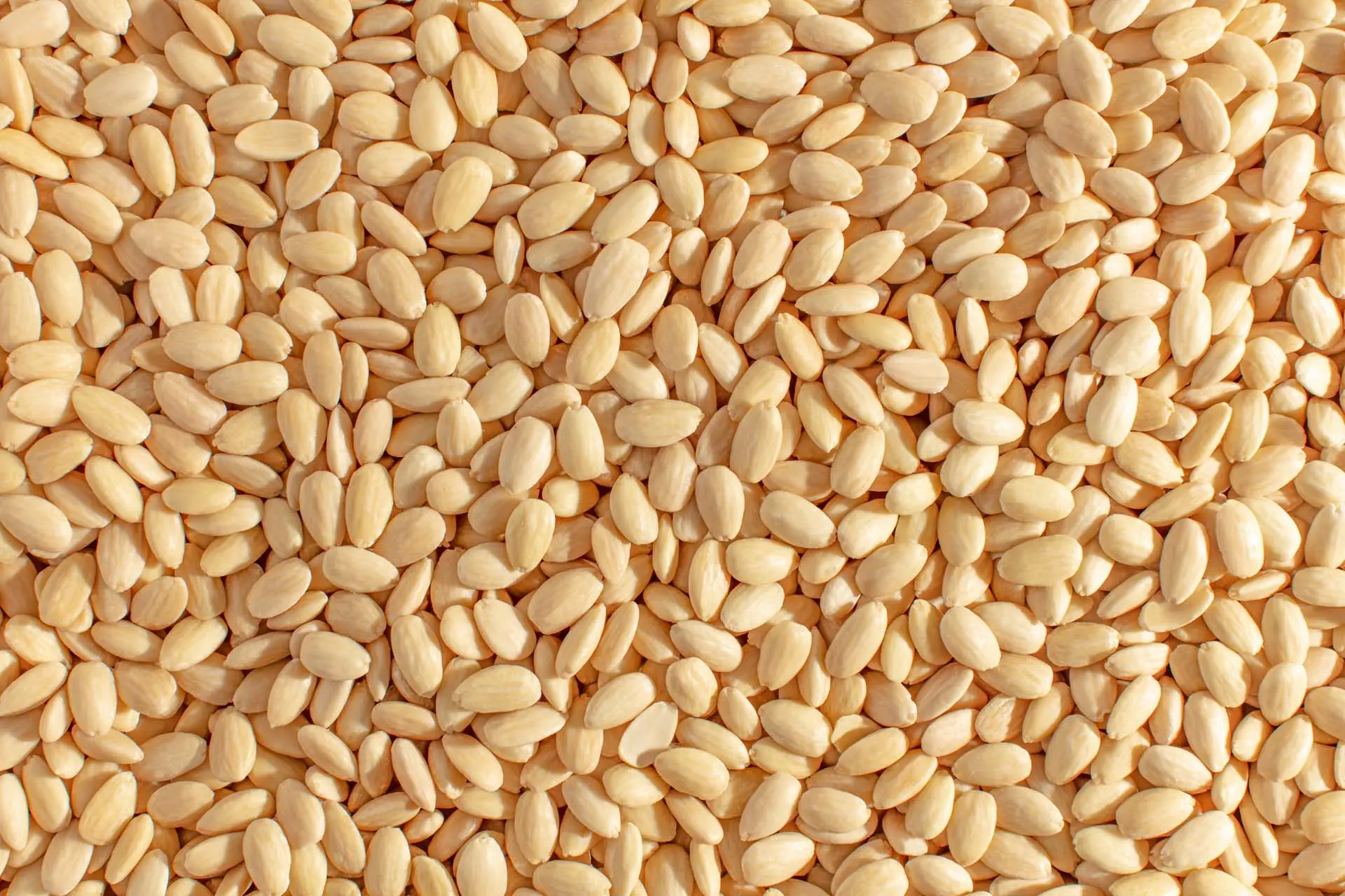 Blanched Almonds