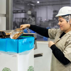 Treehouse Almonds Team Member Pouring Almonds in a Box - Treehouse’s outstanding California almond growers