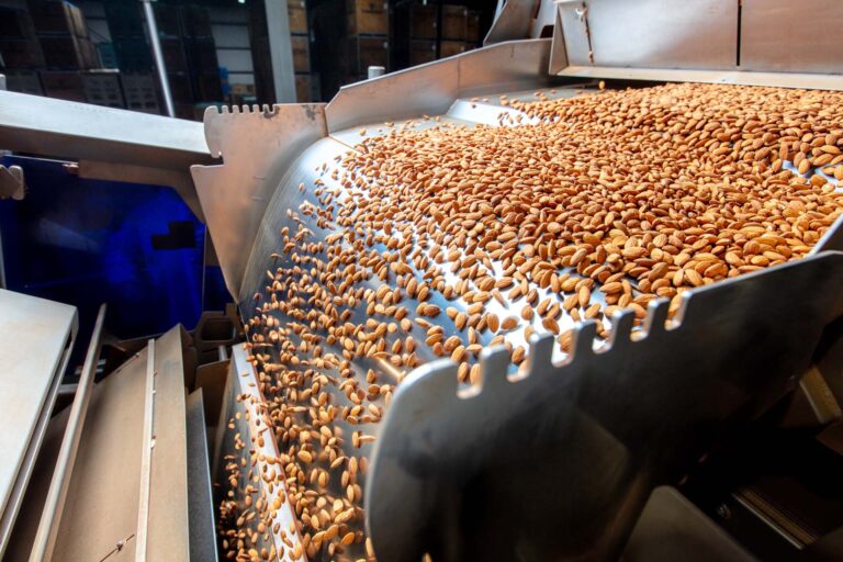 Equipment Sorting Almonds - Almond Growers Standards & Certifications