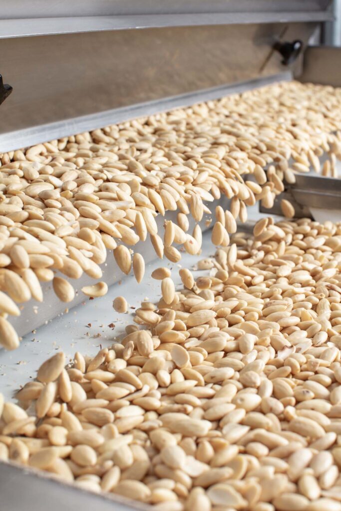 Treehouse Almonds being Processed - Treehouse’s outstanding California almond growers