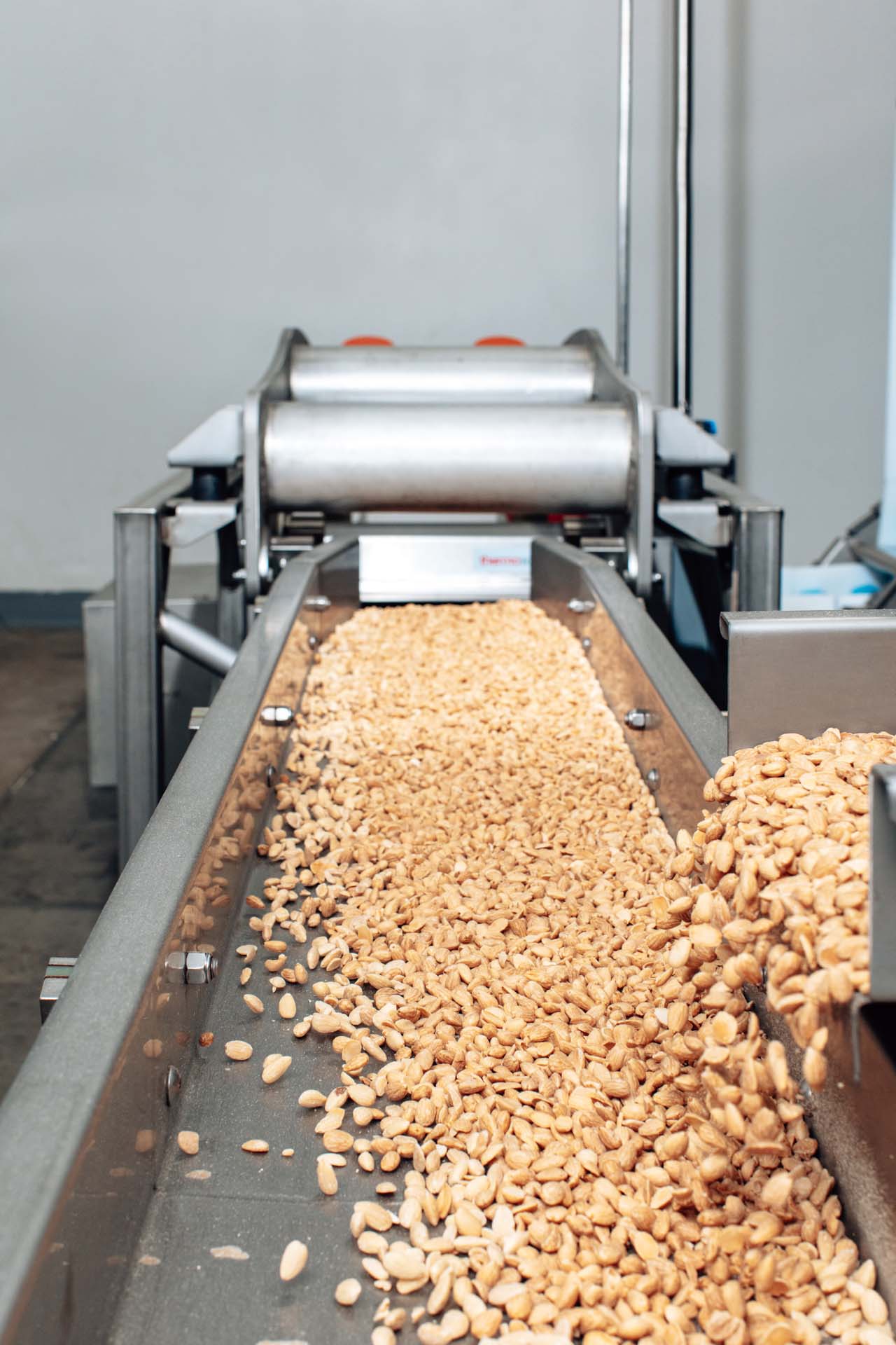 Food Safety and Quality Equipment Processing Almonds