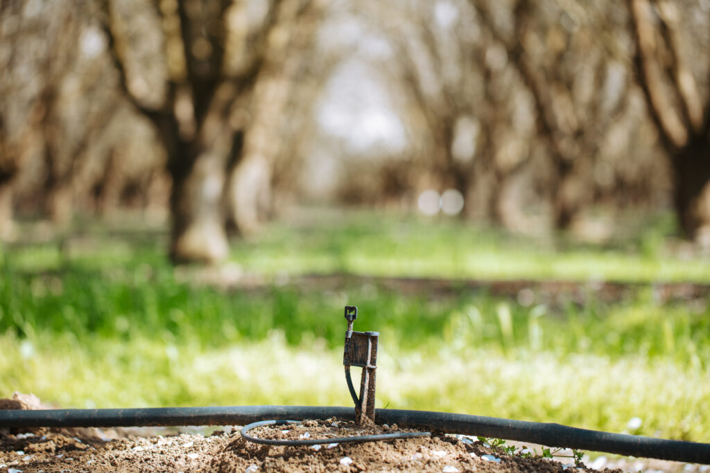 Installation of high-efficiency micro-drip and spray irrigation systems