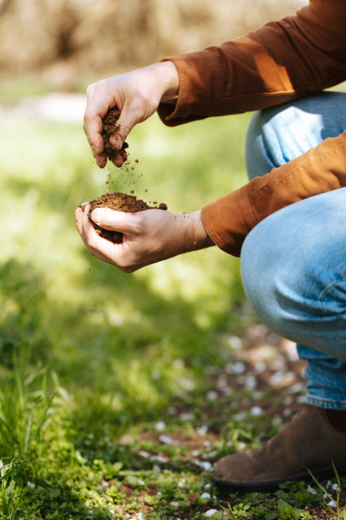 Treehouse Almonds Partner Holding Soil