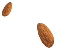 Two Whole Almonds