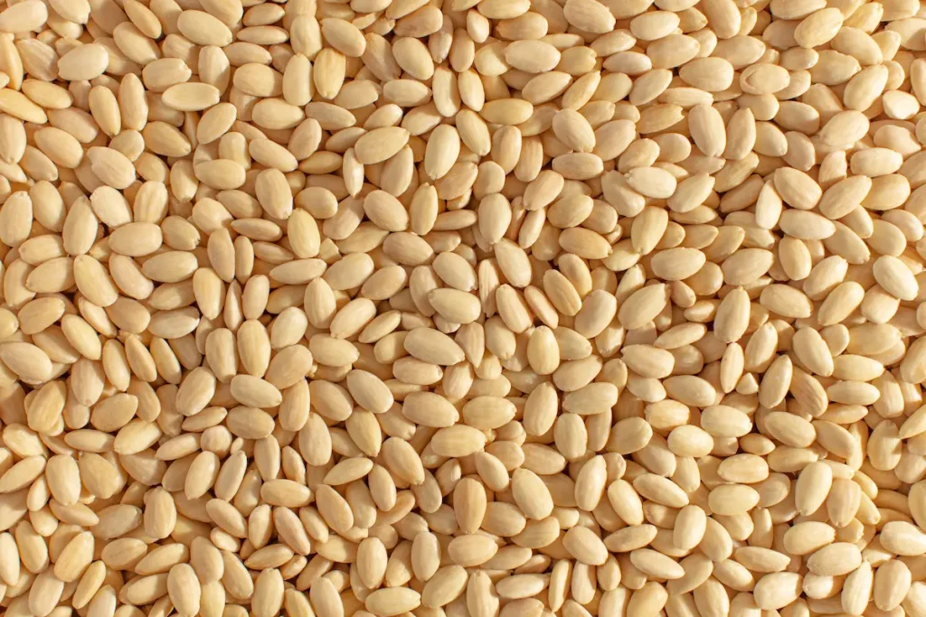 Whole almonds for industrial use: understand AOL sizing, USDA grades, natural vs. blanched, and which applications are best served by whole almonds at scale.