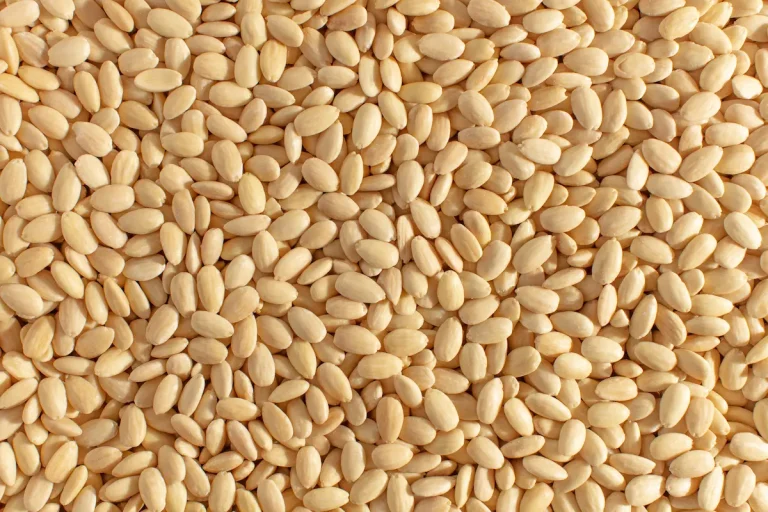 Whole almonds for industrial use: understand AOL sizing, USDA grades, natural vs. blanched, and which applications are best served by whole almonds at scale.