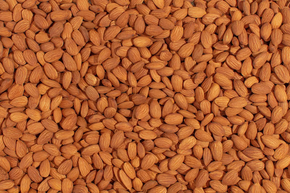 Evaluating organic almond suppliers? Key criteria: CCOF certification, PPO-free pasteurization, segregation documentation, supply depth, and organic format availability.